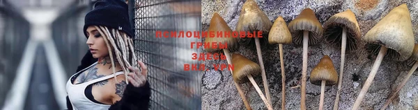 метадон Горняк
