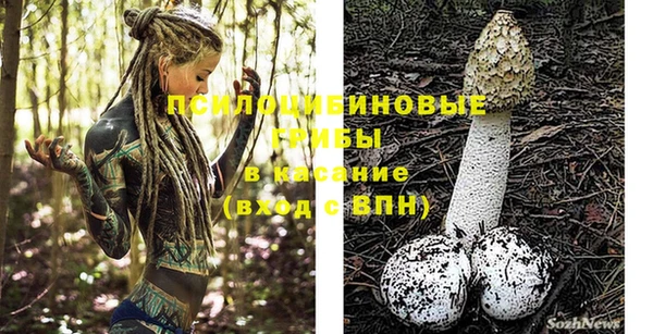 a pvp Горно-Алтайск