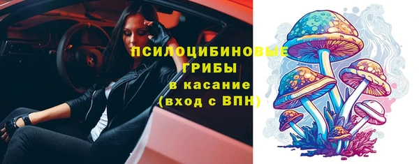 метадон Горняк