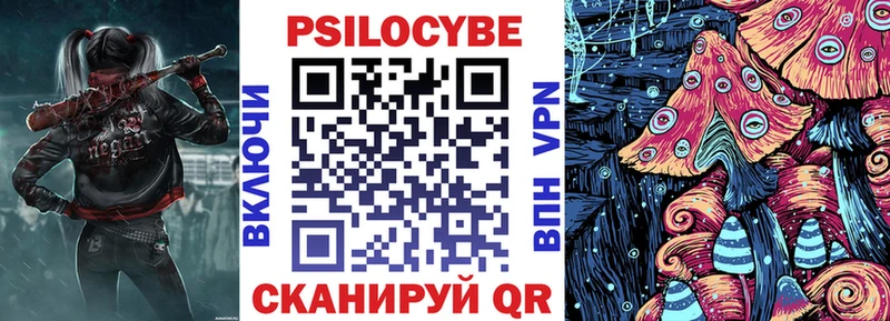 купить закладку  Воронеж  Галлюциногенные грибы Psilocybine cubensis 