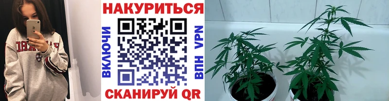 Бошки марихуана LSD WEED  где можно купить   Воронеж 